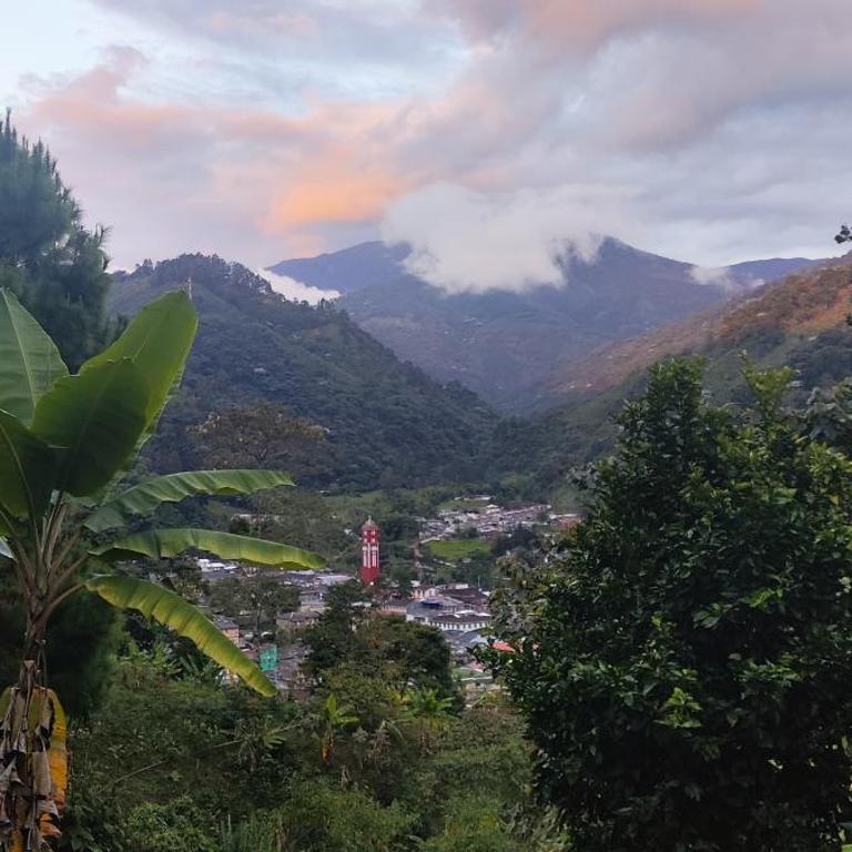 Ecocabaña Con Maloca cerca a Pijao Quindío - Chalet de 1 dormitorio - 9
