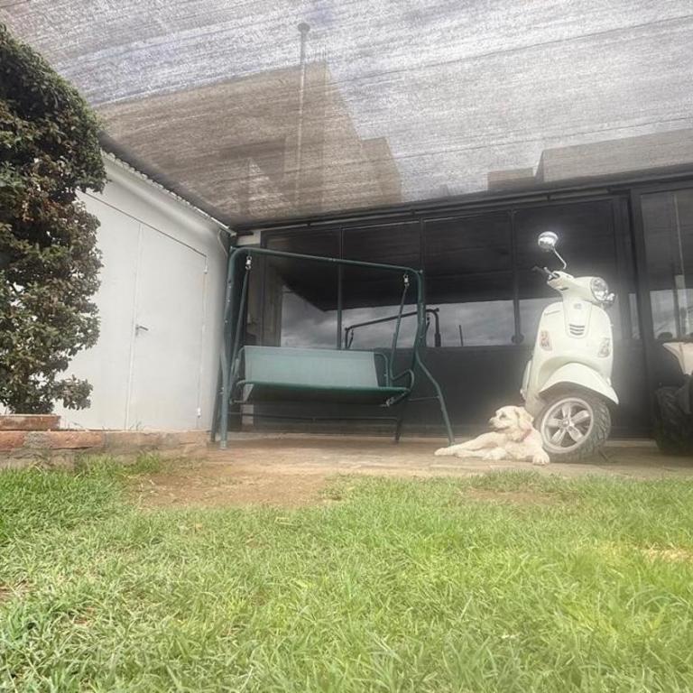 El Jumeal - Apartamento de 1 dormitorio - 2
