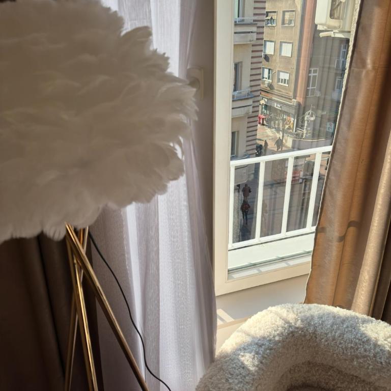 SpaNish FoROOM 1 - One-Bedroom Apartment - 13