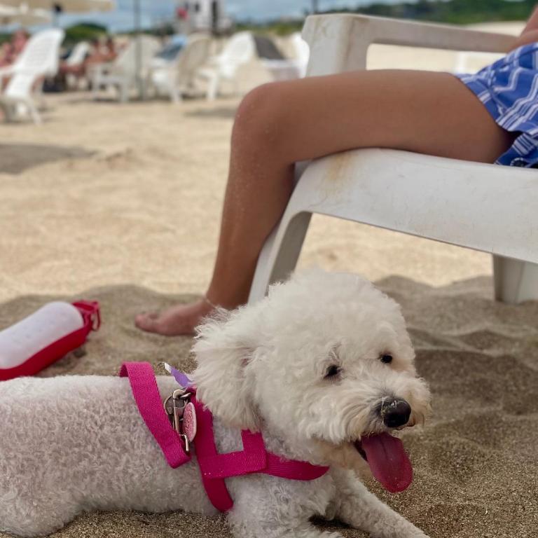 Apart Spa Linda Bay - Apartamento Estudio con vistas al mar - 70