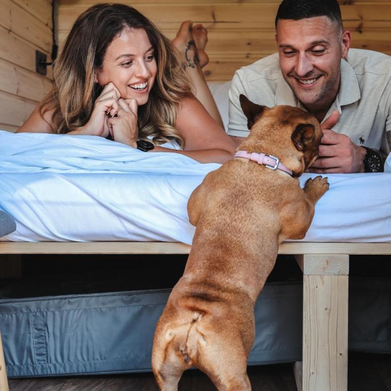 Berg & Natur - Cozy house - Zimmer mit Kingsize-Bett und Bergblick - 14