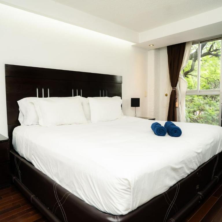 Modern 2BR by iconic Angel de la Independencia - Apartamento de 2 dormitorios - 15