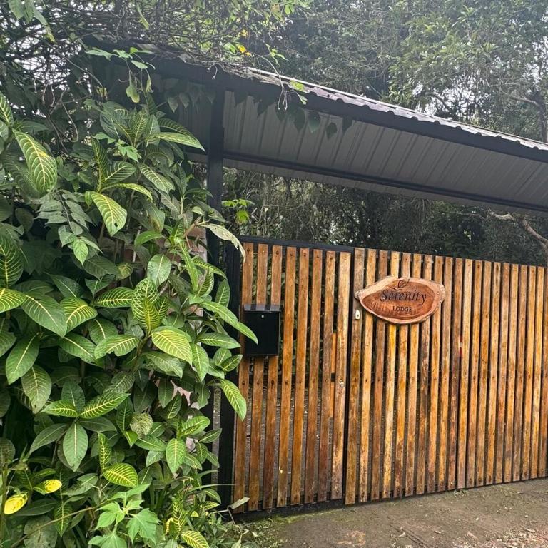 Casa Mandarina-Lush riverside cloud forest home- walk to town - Five-Bedroom House - 16