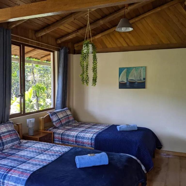Casa Mandarina-Lush riverside cloud forest home- walk to town - Five-Bedroom House - 23