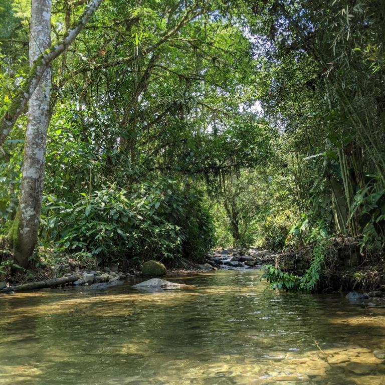 Casa Mandarina-Lush riverside cloud forest home- walk to town - Five-Bedroom House - 38