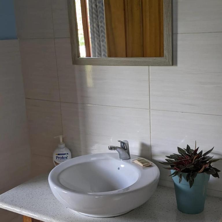 Casa Mandarina-Lush riverside cloud forest home- walk to town - Five-Bedroom House - 39