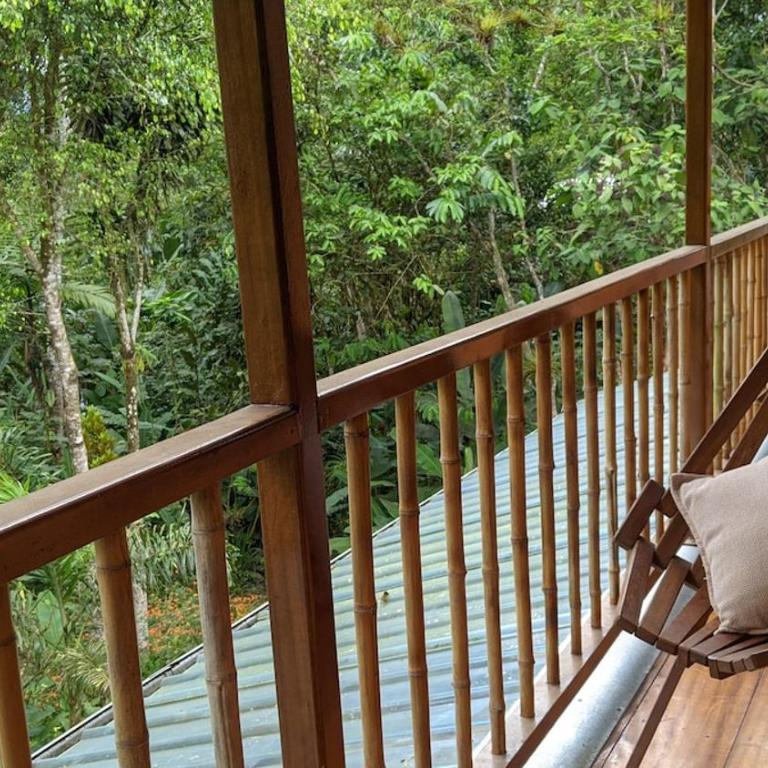 Casa Mandarina-Lush riverside cloud forest home- walk to town - Five-Bedroom House - 52