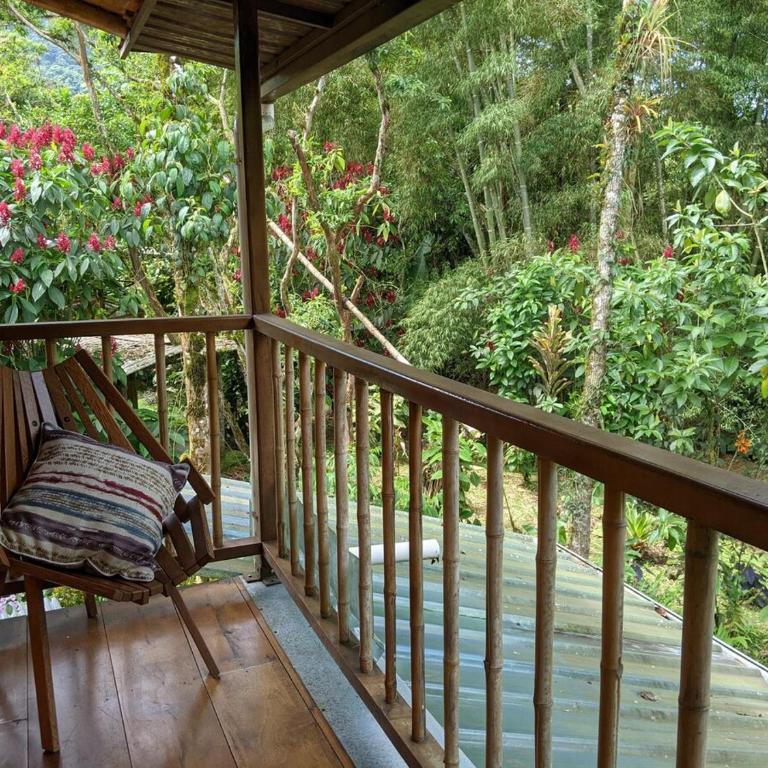 Casa Mandarina-Lush riverside cloud forest home- walk to town - Five-Bedroom House - 60