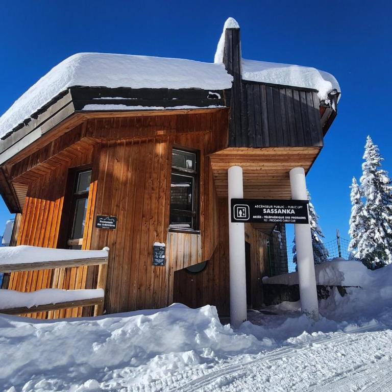 Avoriaz : Duplex 9 pers, cheminée, WiFi, proche ski - FR-1-633-64 - Appartement - 17