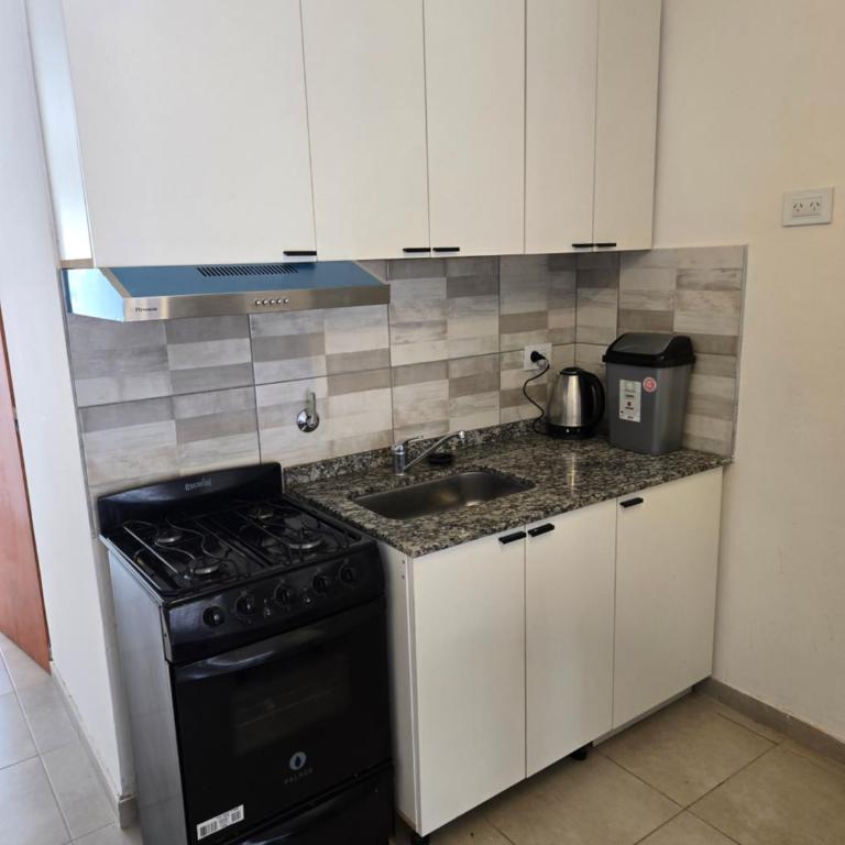 DEPARTAMENTO CENTRICO, PEATONAL, c - Apartamento de 1 dormitorio - 4