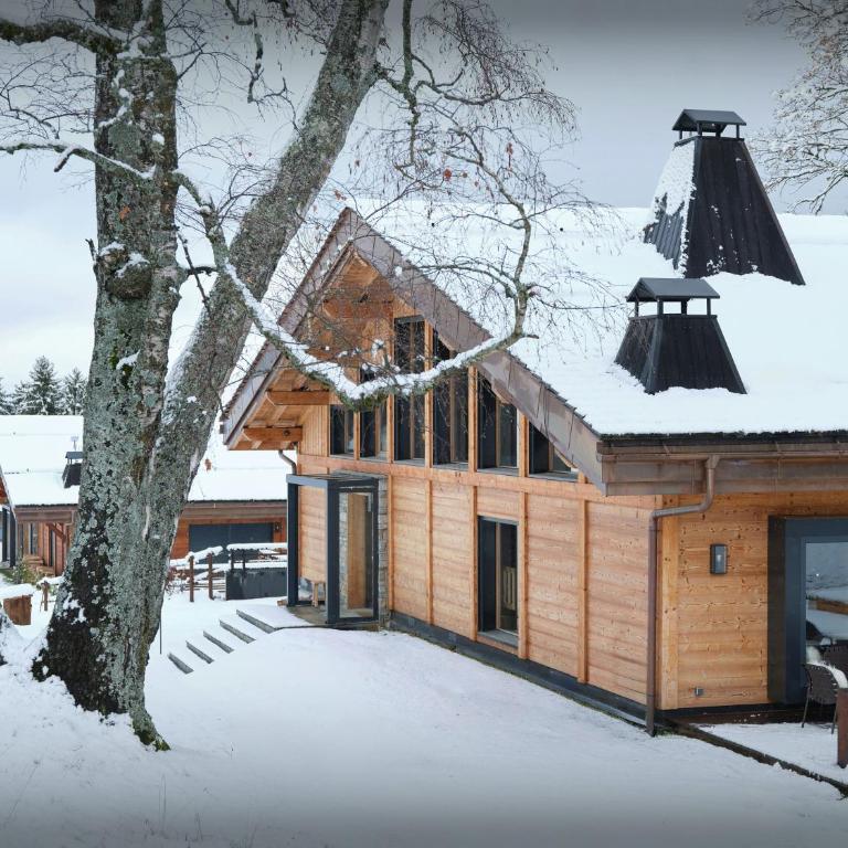 Chalet RevAlp - OVO Network - Chalet - 33