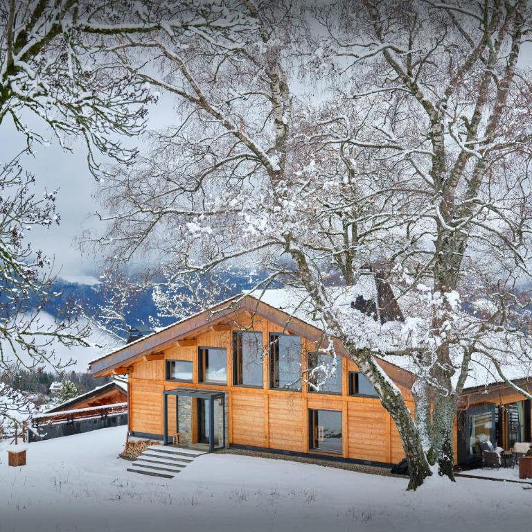 Chalet RevAlp - OVO Network - Chalet - 1