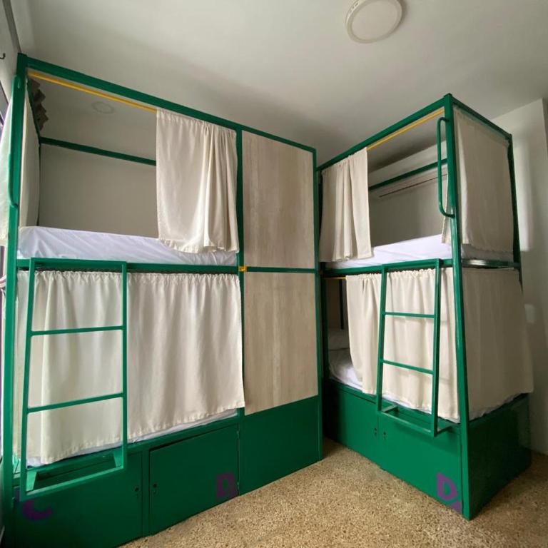 Rossa Palma - Cama en habitación compartida mixta de 10 camas - 3