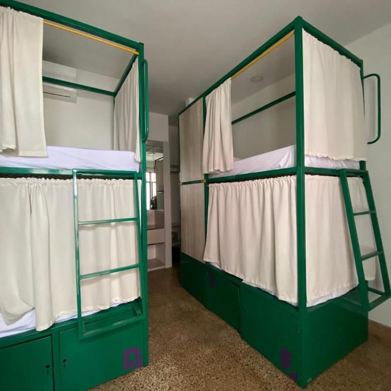 Rossa Palma - Cama en habitación compartida mixta de 6 camas - 4