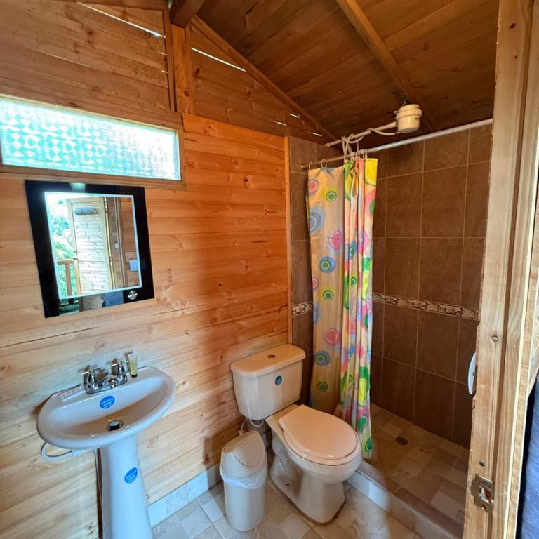 Cabanas Villa Helena - Cabaña de 1 dormitorio - 6