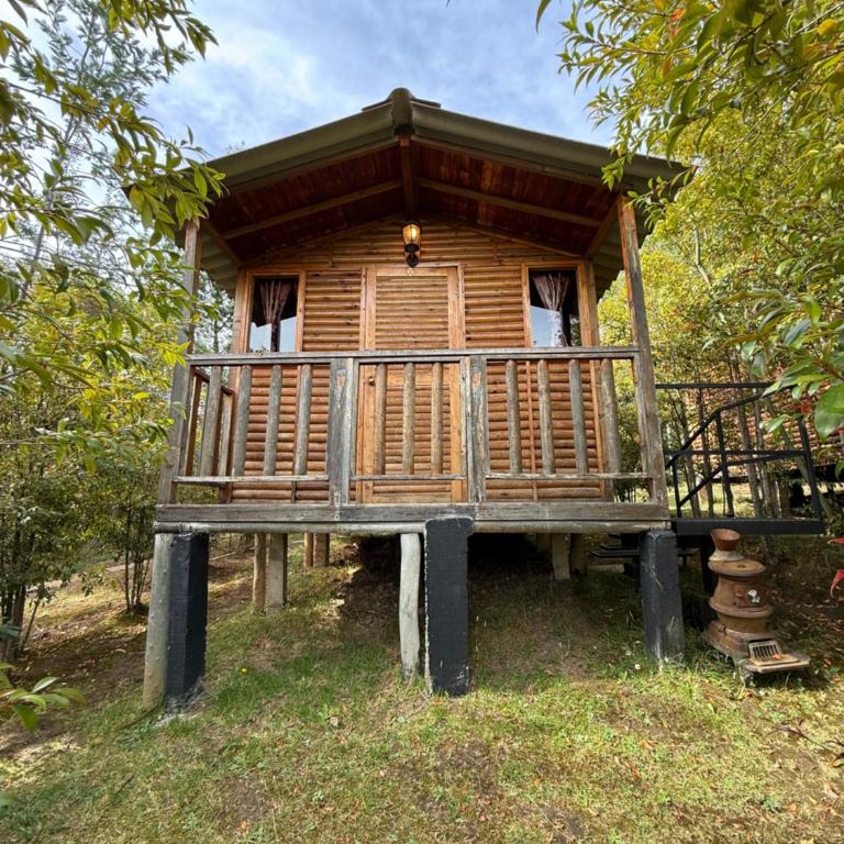 Cabanas Villa Helena - Cabaña de 1 dormitorio - 4