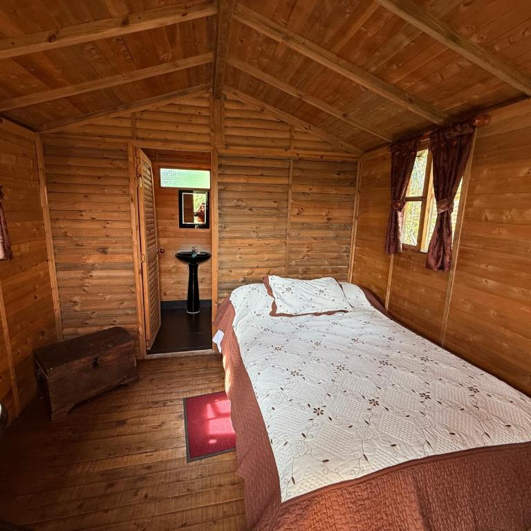 Cabanas Villa Helena - Cabaña de 1 dormitorio - 3