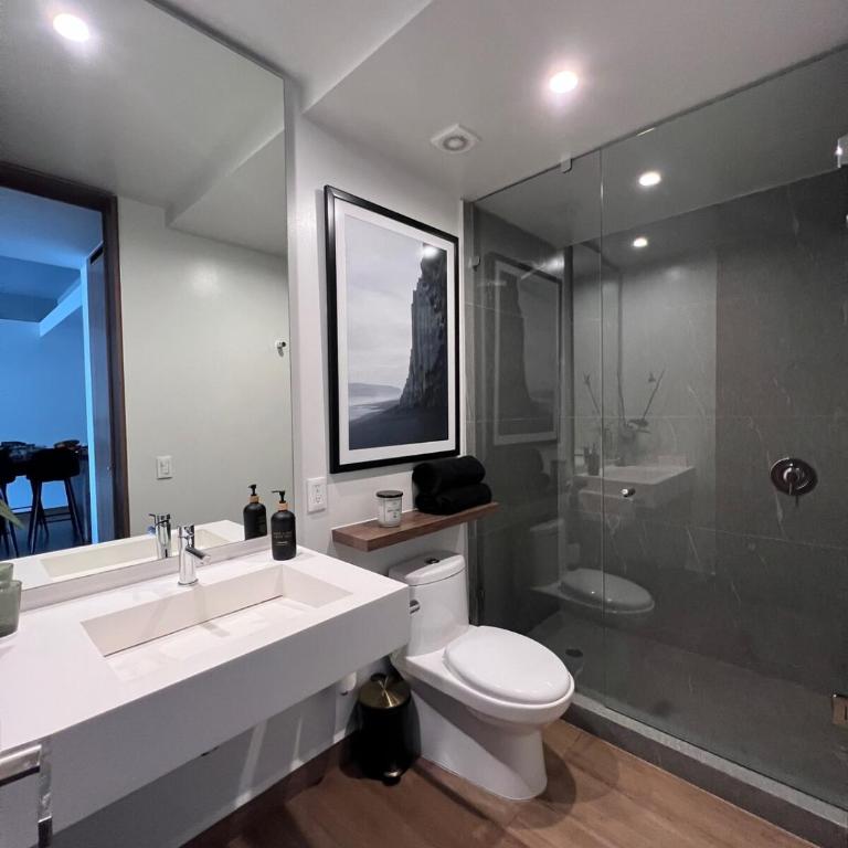 Cozy Apartment AltoPolanco - One-Bedroom Apartment - 9