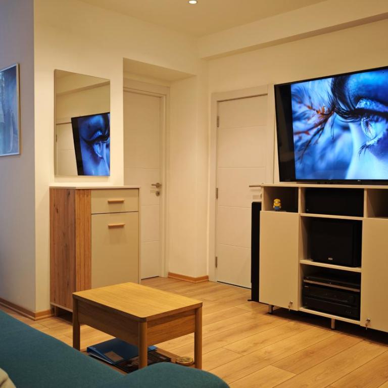 House of Mirrors - One-Bedroom Apartment - 10