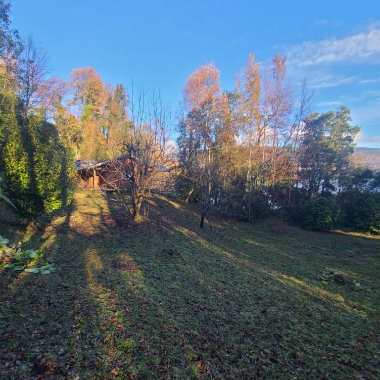 Cabaña Huenehue - Orilla de Lago - Three-Bedroom Vacation Home - 25