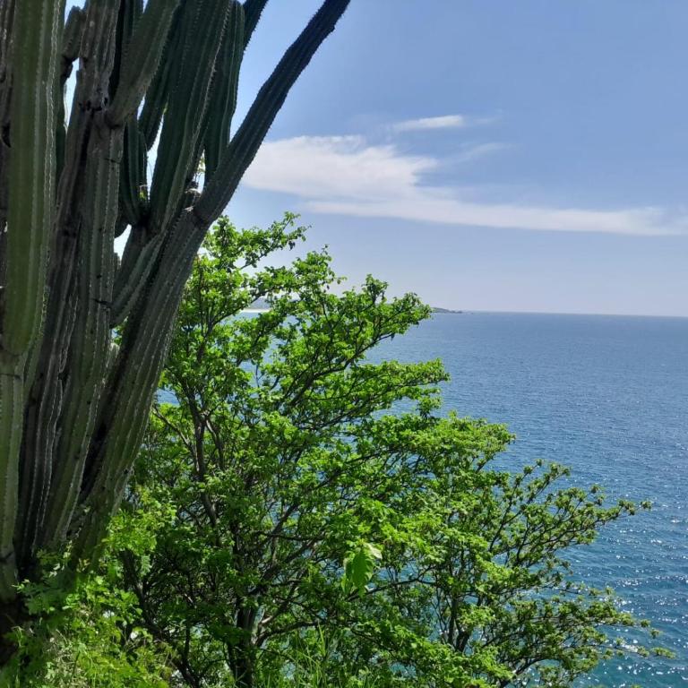 Unique Mexican Charm Cliffside Villa Casa Linda - Villa - 8