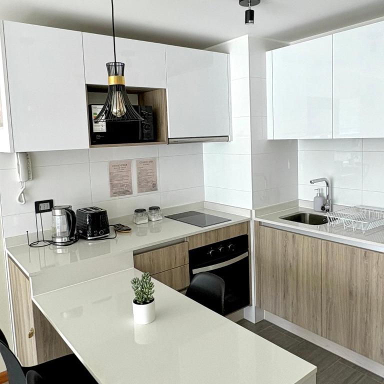Nuevo departamento en peninsula- cavancha - One-Bedroom Apartment - 6