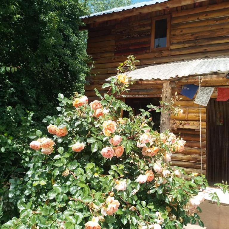 Claro deseo - One-Bedroom Chalet - 3