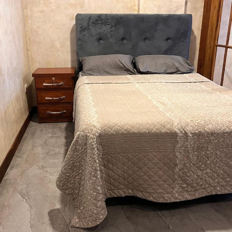 Edificio Suites los Laureles - One-Bedroom Apartment - 3