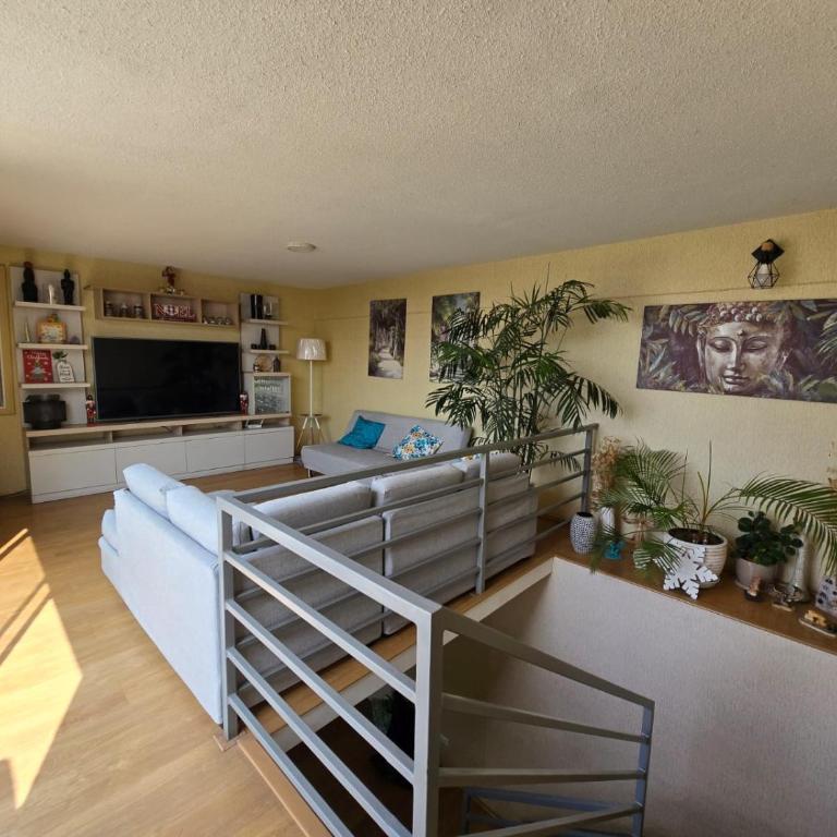 Los Nogales LS - Apartment - 6