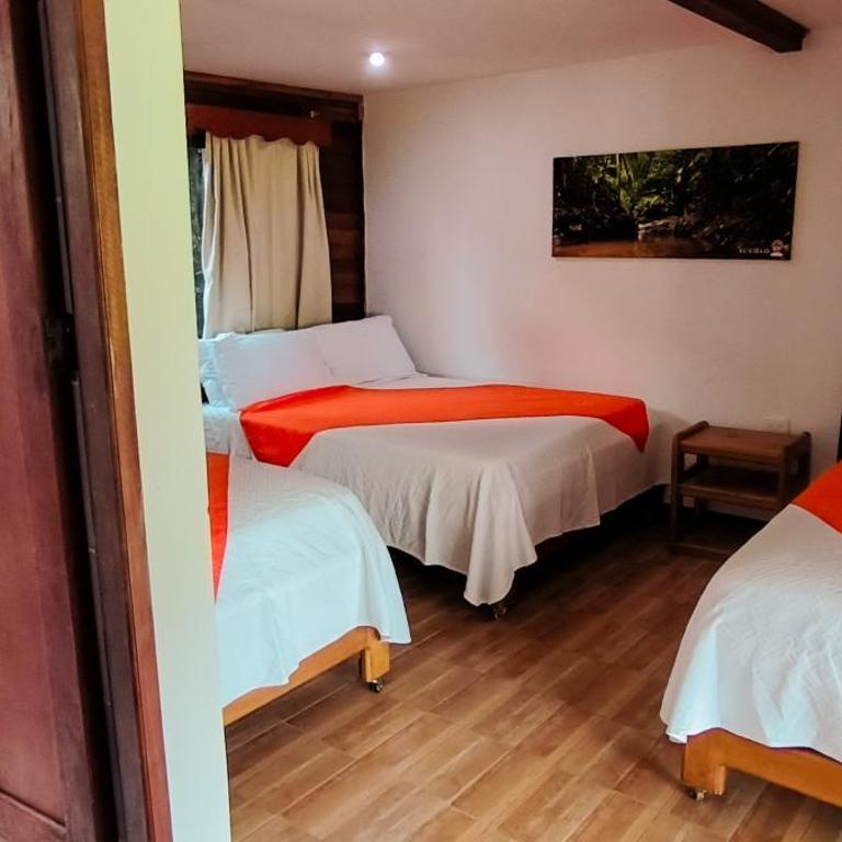 Playa de Oro Lodge - Habitación Cuádruple con terraza - 6