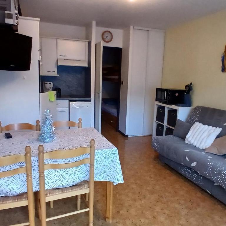 Appar T2 3 lits vue montagne terrasse vielle aure - Appartement 2 Chambres - 26