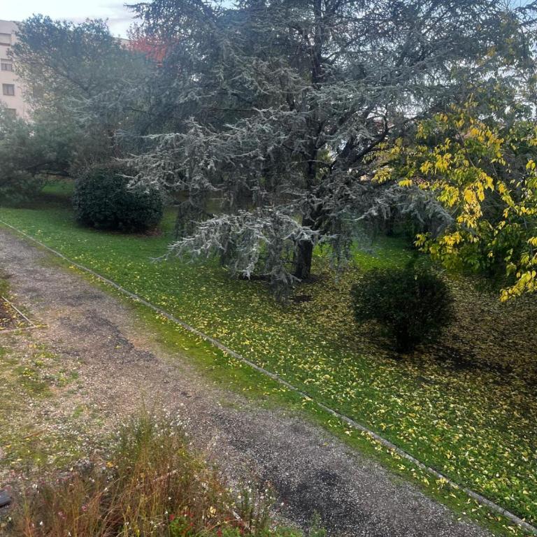 Appartement T3 Parking - Bordeaux - Appartement 2 Chambres - 14