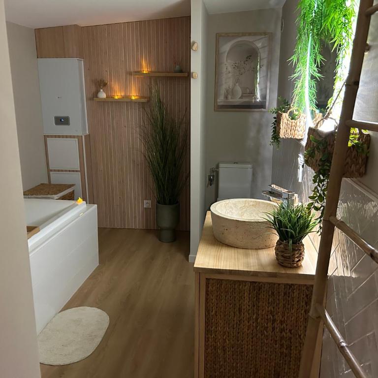 Thermo'Spa - Gîte Spa Privatif - Maison 1 Chambre - 26