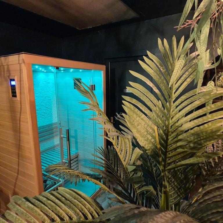 Amazonia - Private Spa and Cinema - Appartement 1 Chambre - 13