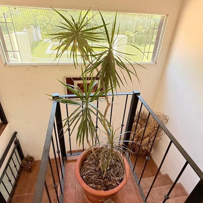 Quinta Las Moras, historias en la naturaleza - Three-Bedroom Villa - 80