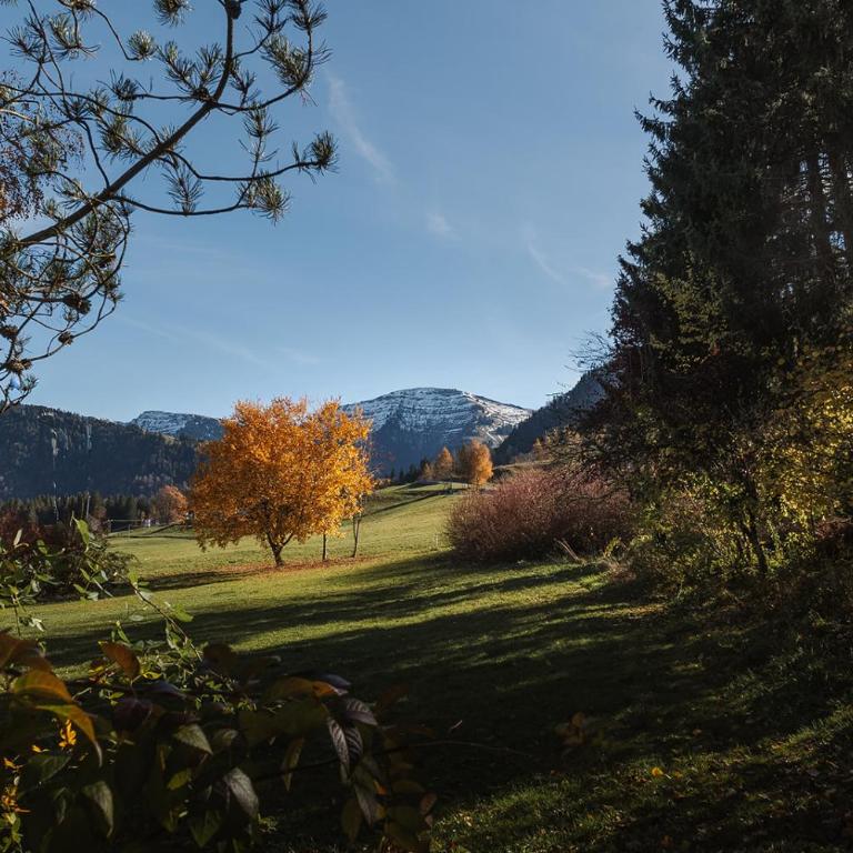 Alpin & Wellness Resort Ludwig Royal - Junior Suite - 6