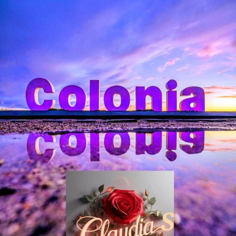 Ap 202 Despertares de ensueño - Apartamento de 3 dormitorios - 23