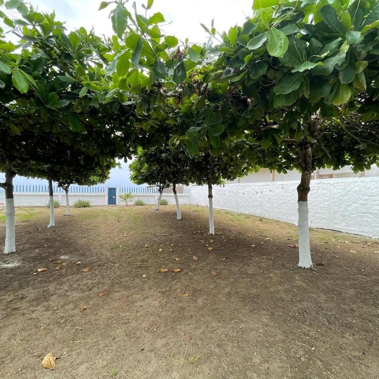 Villa Solara - A Beachfront Residence - Villa frente a la playa - 5