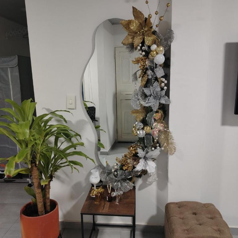 Acogedor y Amplio Apartamento 102 El Jardin - Apartamento de 1 dormitorio - 2