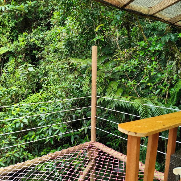 Finca AVALON Alejandria Antioquia - Cabaña con vistas al jardín - 4