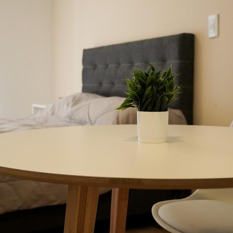 Loft Celenia - Zona rio - Ideal turismo! - Apartamento de 1 dormitorio - 2