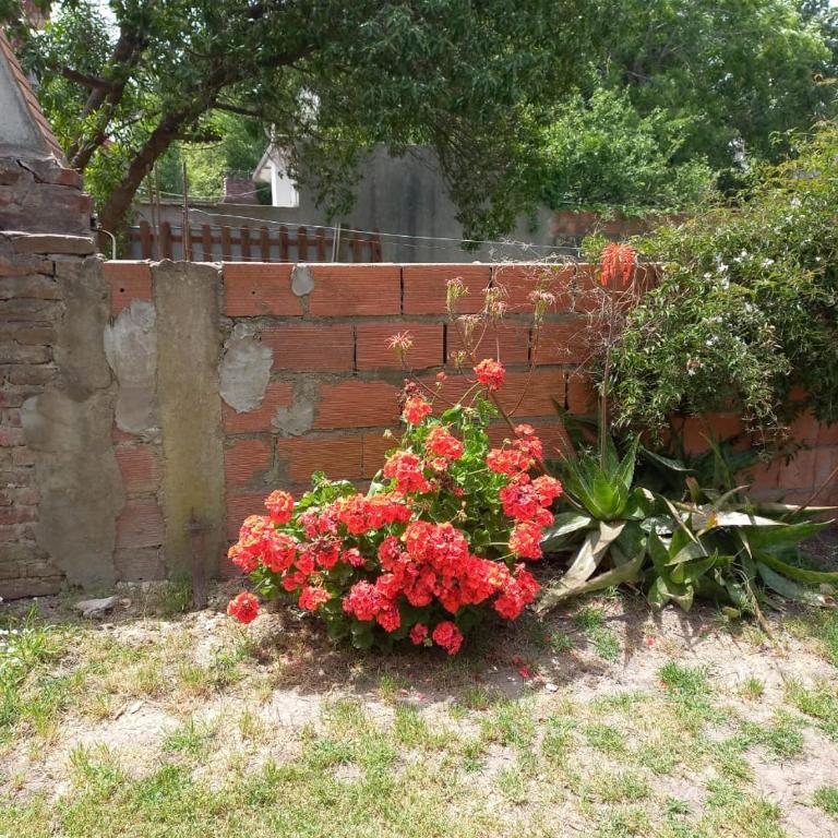 Casa santa clara del mar - Two-Bedroom House - 14