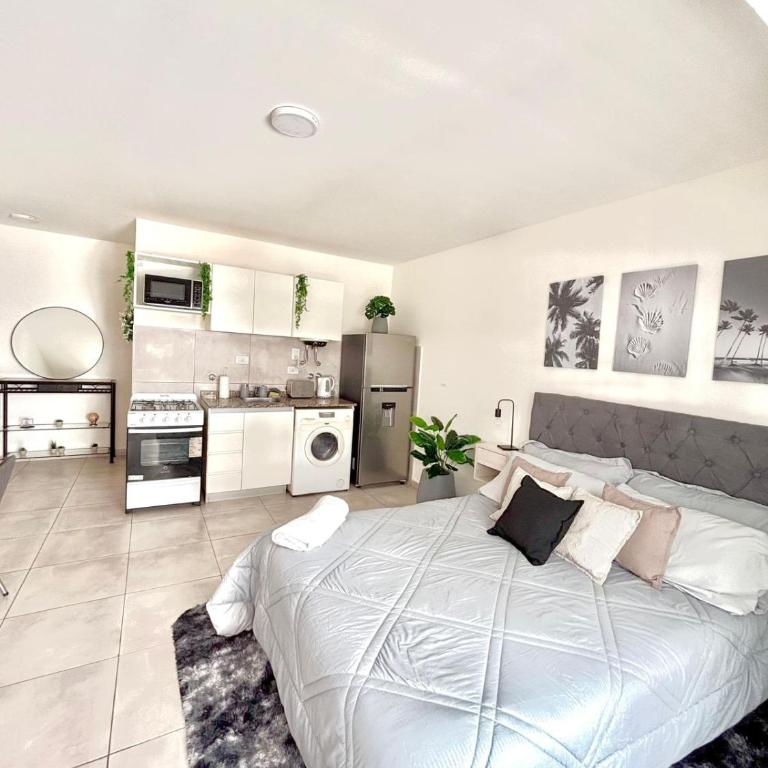 Loft natural - Zona rio - Turismo! - Apartamento de 1 dormitorio - 5