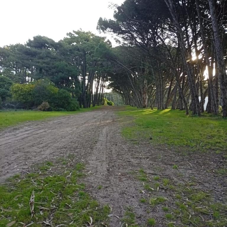 Gaia Miramar - sea and nature - Casa de 2 dormitorios - 18