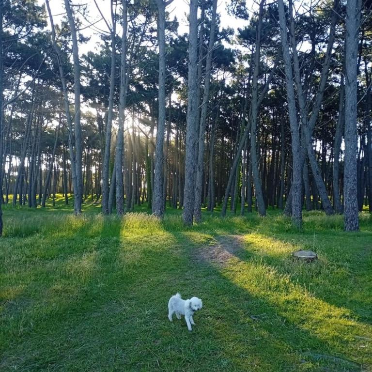 Gaia Miramar - sea and nature - Two-Bedroom House - 23