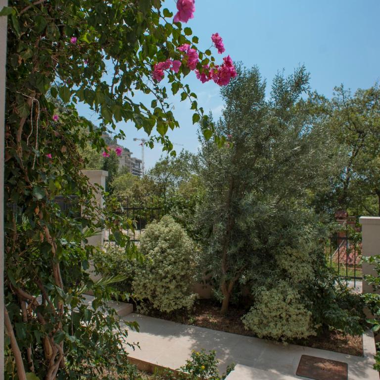 Apartments Villa Simonovic - Villa - Beach Front - 58