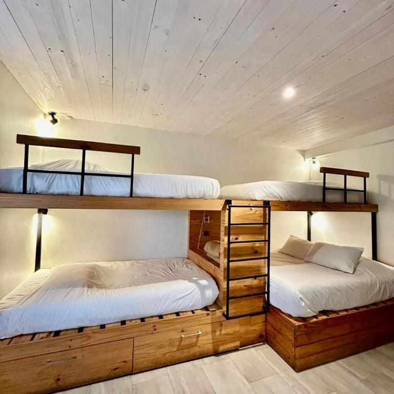 Hotel Casa Surf - Family Room - 1