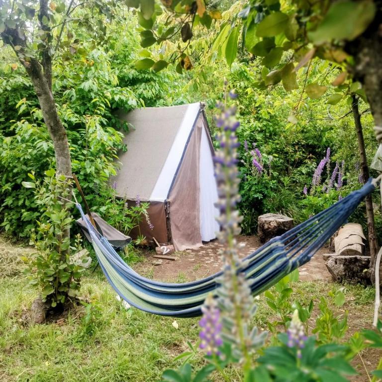 Refugio Holístico Flora Boreal - Tent - 4