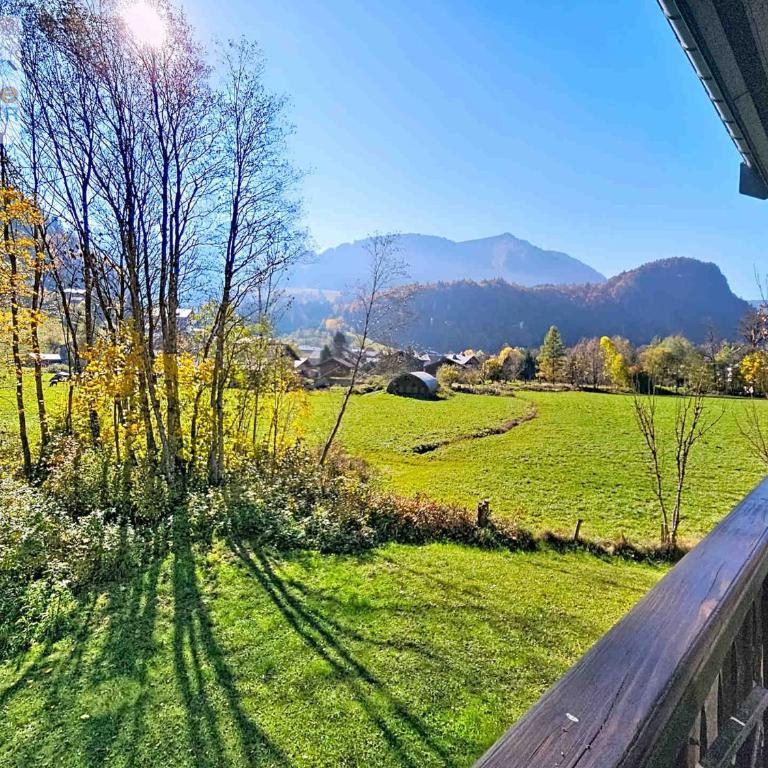 Appartement calme proche centre Abondance - Studio - 3