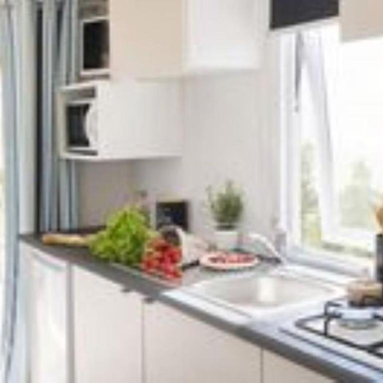 Mobil-home avec Terrasse à Roquebrune-sur-Argens - API-1-52-984 - Mobile Home - 2